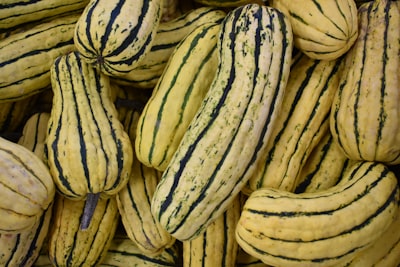 Sampling seasonal fruit and produce