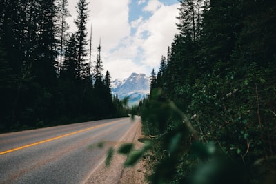 Trip planning