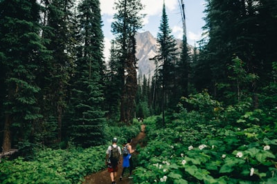 Nature walks