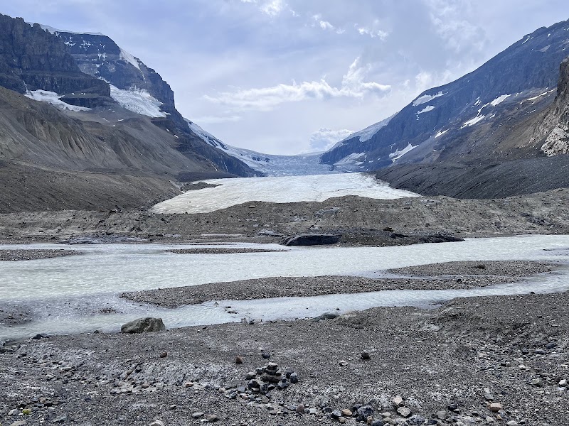 Columbia Icefields