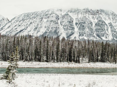 Snowshoeing in winter