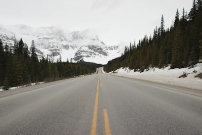 Scenic driving (Icefields Parkway)