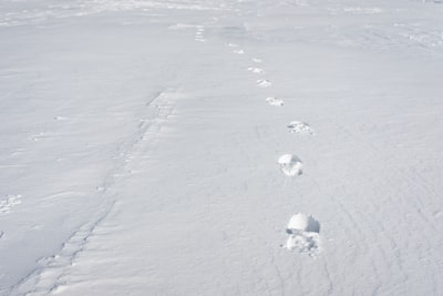 Guided ice-walks (winter)