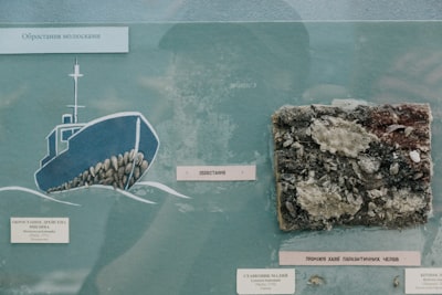 Geology observation