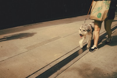 Short walks