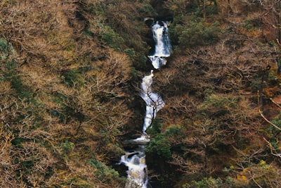 View upper and lower falls