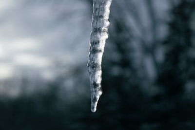 Cold plunges
