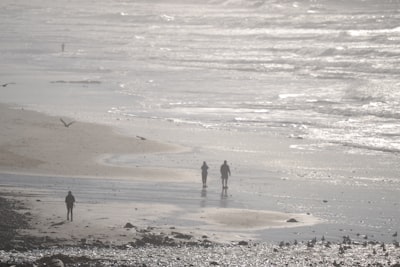 Short walks when ashore