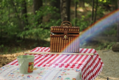 Picnicking