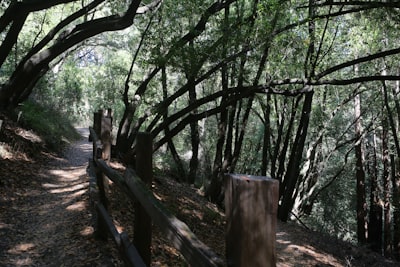 Hiking the loop