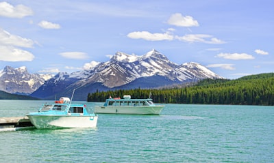 Boat tours and cruises