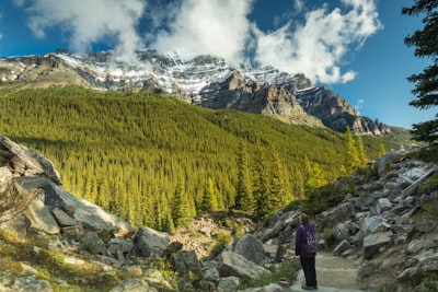 Nature walks along upper trails