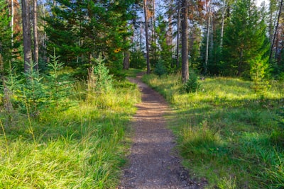 Nature walking