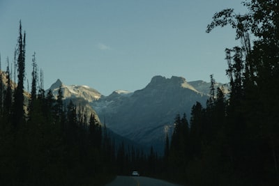 Scenic drives