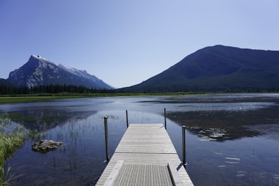 Boardwalk marsh walk