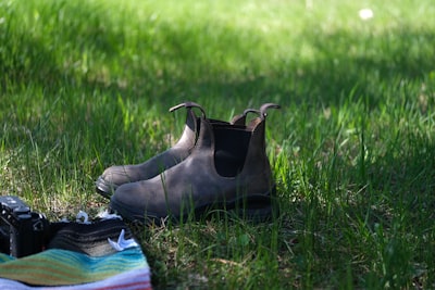 Picnic on the meadows