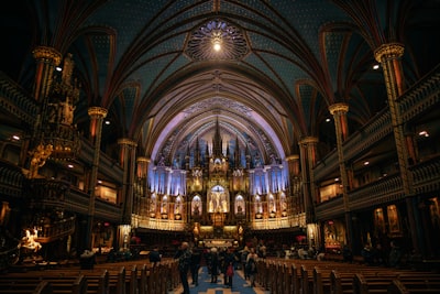 Attend concerts and special events