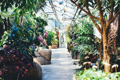 Explore greenhouse collections
