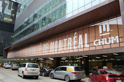 Attend concerts, ballet and theatre
