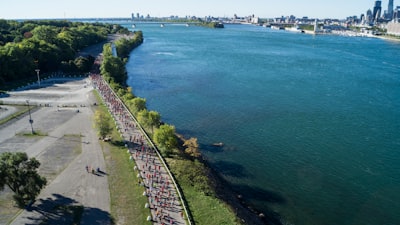 Attend summer festivals and concerts