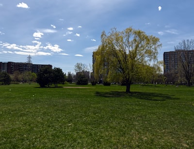 Picnic on nearby green spaces