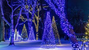 Winter Festival of Lights