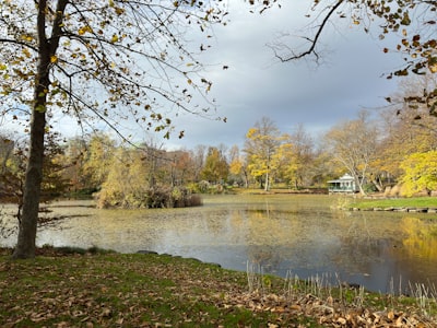 Relax by ponds and fountains