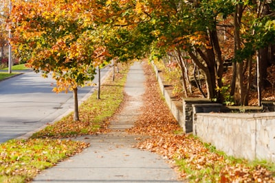 Stroll leafy paths