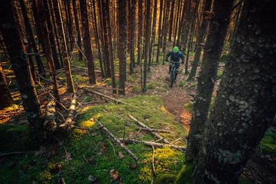 Hike coastal and forest trails